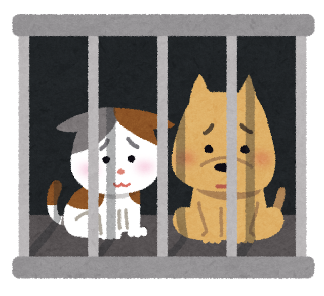 pet_syobun.png